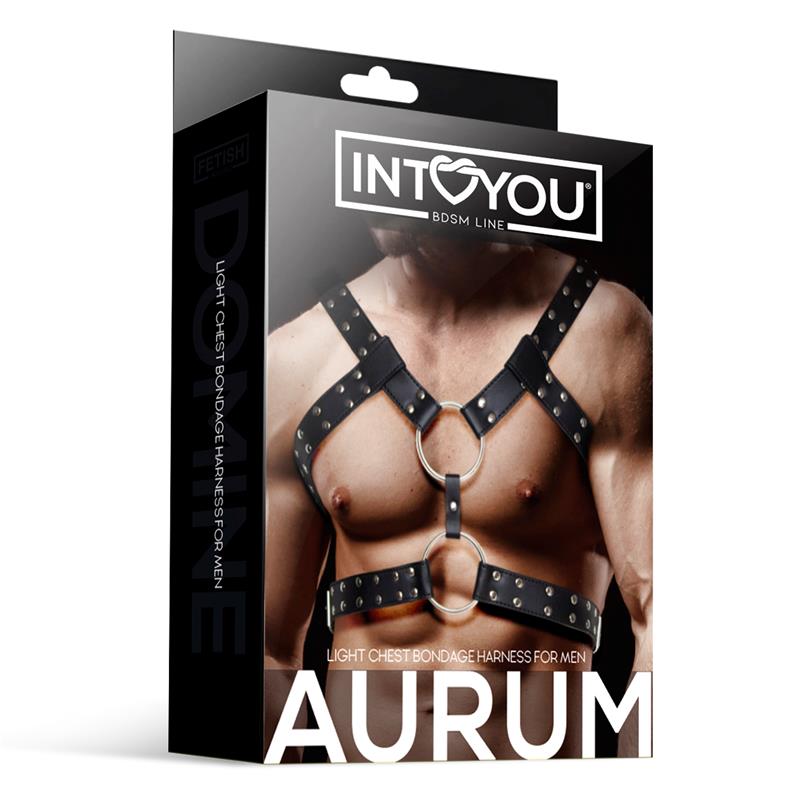 INTOYOU BDSM LINE - Aurum Male Chest Bondage Harness Vegan Leather