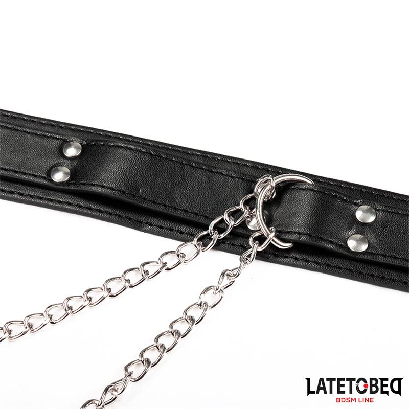 Collar with Nipple Clamps — zdjęcie 7