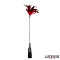 2-in-1 Paddle with feather