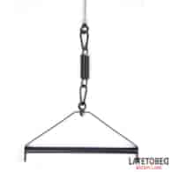 Ceiling Swing