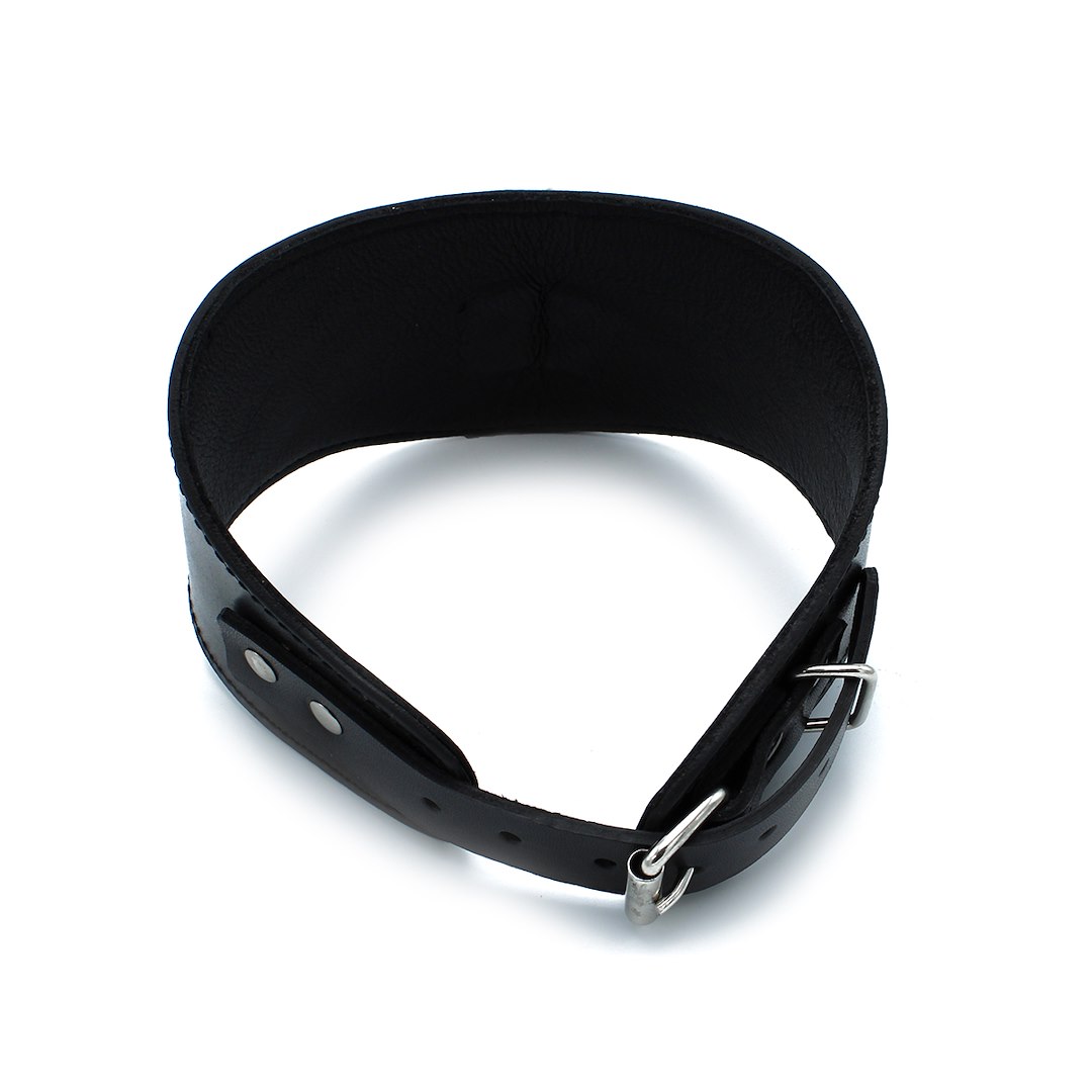 Kiotos Leather Contoured Black Leather Collar with D-Ring — zdjęcie 5