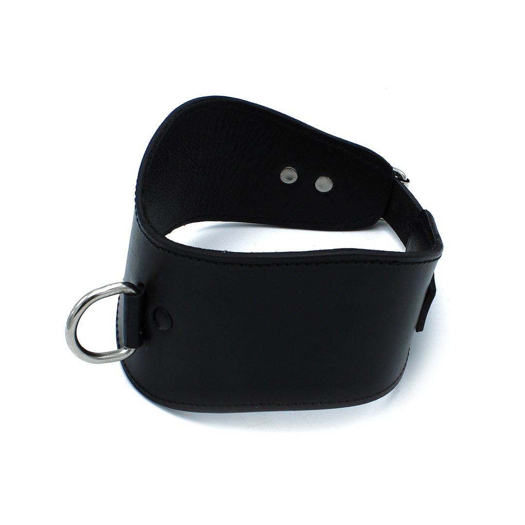 Kiotos Leather Contoured Black Leather Collar with D-Ring — zdjęcie 6