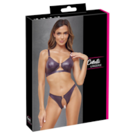 Bra and Briefs purple L