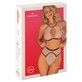 Obsessive Set S/M