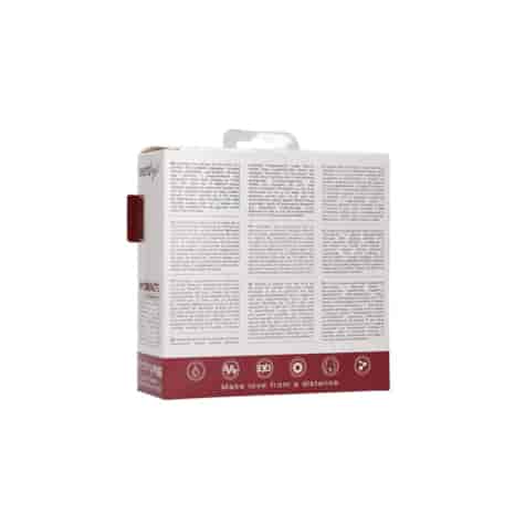 Vibrating Egg with 10 Speeds and Remote Control - L - Red